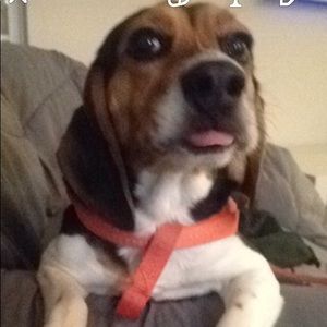 Meet your Posher, Eryk